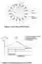 Fig. 02 - MOTOR FOR HIGH TEMPERATURE APPLICATIONS