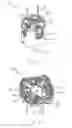 Fig. 02 - Brush gear of a motor