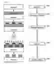 Fig. 02 - Polymer pattern and metal film pattern, metal pattern, plastic mold using thereof, and method of the forming the same