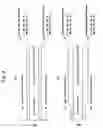 Fig. 03 - CPP magnetoresistive head