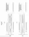 Fig. 09 - CPP magnetoresistive head