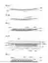 Fig. 08 - Light emitting module, lighting device and display device