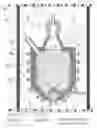 Fig. 01 - Skull reactor