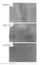 Fig. 07 - Method for preparing graphene ribbons