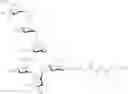 Fig. 28 - Oligosaccharides comprising an aminooxy group and conjugates thereof