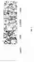 Fig. 02 - MODULATORS OF NEURONAL REGENERATION