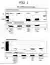 Fig. 07 - NOVEL ANTIBODIES AGAINST IGF-IR