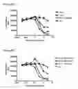 Fig. 22 - NOVEL ANTIBODIES AGAINST IGF-IR