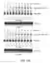 Fig. 49 - Activation and transfer cascade for ubiquitin