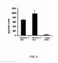 Fig. 07 - Methods and compositions relating to a vaccine against prostate cancer