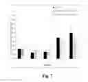 Fig. 09 - ORAL POLYMERIC MEMBRANE FERULOYL ESTERASE PRODUCING BACTERIA FORMULATION