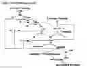 Fig. 02 - COMPOSITIONS AND METHODS FOR TREATING EXCESSIVE BLEEDING