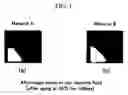 Fig. 02 - PHOTO-REACTIVE COMPOUNDS AND LIQUID CRYSTAL DISPLAY DEVICE USING THE SAME