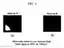 Fig. 04 - PHOTO-REACTIVE COMPOUNDS AND LIQUID CRYSTAL DISPLAY DEVICE USING THE SAME