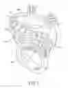 Fig. 02 - EYE-LIKE ORNAMENT