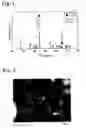 Fig. 02 - Coated, fine metal particles comprising specific content of carbon and nitrogen, and their production method