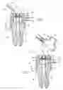 Fig. 07 - Apparatus and methods for treating tooth root canals