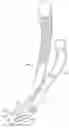 Fig. 01 - DENTAL CROWN REMOVER