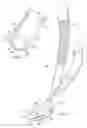 Fig. 02 - DENTAL CROWN REMOVER