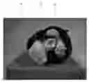 Fig. 01 - ANATOMICALLY AND FUNCTIONALLY ACCURATE SOFT TISSUE PHANTOMS AND METHOD FOR GENERATING SAME