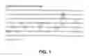 Fig. 02 - Methylation Specific Primer Extension Assay for the Detection of Genomic Imprinting Disorders