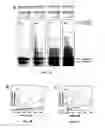 Fig. 06 - Target and method for inhibition of bacterial RNA polymerase
