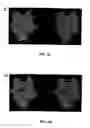 Fig. 08 - Target and method for inhibition of bacterial RNA polymerase