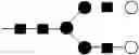Fig. 167 - NOVEL SPECIFIC CELL BINDERS