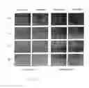 Fig. 09 - Process for producing modified reconstituted sendai viral envelope specific for drug and/or gene delivery to liver cells