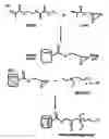 Fig. 01 - MATERIALS, METHODS AND SYSTEMS FOR PURIFICATION AND/OR SEPARATION