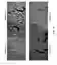 Fig. 16 - Sequential analysis of biological samples