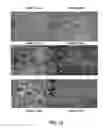 Fig. 19 - Sequential analysis of biological samples