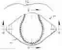 Fig. 01 - INSTRUCTIONAL BALL