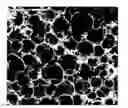 Fig. 01 - SUBSTRATE FOR THE GROWTH OF CULTURED CELLS IN THREE DIMENSIONS