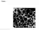 Fig. 02 - SUBSTRATE FOR THE GROWTH OF CULTURED CELLS IN THREE DIMENSIONS