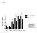 Fig. 22 - SUBSTRATE FOR THE GROWTH OF CULTURED CELLS IN THREE DIMENSIONS
