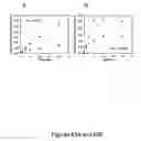 Fig. 65 - Methods of Producing Modified Assembly Lines and Related Compositions