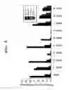 Fig. 07 - Cell penetrating peptide