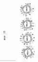 Fig. 12 - Cell penetrating peptide