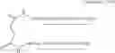 Fig. 02 - IMMUNOMODULATORY PEPTIDES