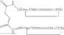 Fig. 08 - IMMUNOMODULATORY PEPTIDES