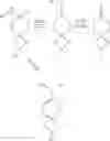 Fig. 08 - Spirocyclic cyclohexane compounds