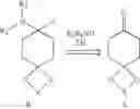 Fig. 10 - Spirocyclic cyclohexane compounds