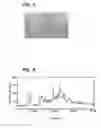 Fig. 04 - CRYSTALLINE FORMS OF A BIPHENYL COMPOUND