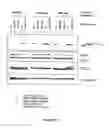 Fig. 07 - Stable and long-lasting siRNA expression vectors and the applications thereof