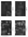 Fig. 06 - miRNA triplex formations for the downregulation of viral replication