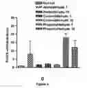 Fig. 06 - Treatment of COPD