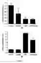 Fig. 09 - Treatment of COPD