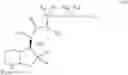 Fig. 08 - CHEMICAL COMPOUNDS