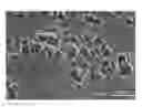 Fig. 01 - Porous polyimide